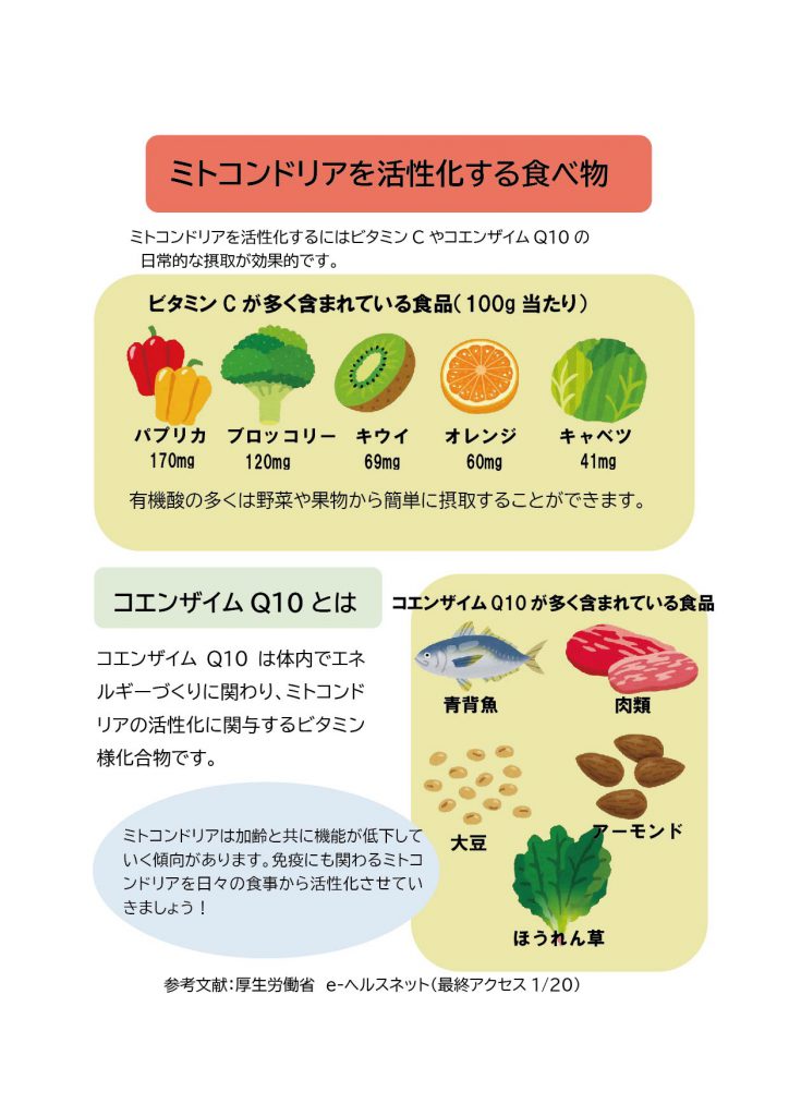 ためして ガッテン ミトコンドリア を 増やす